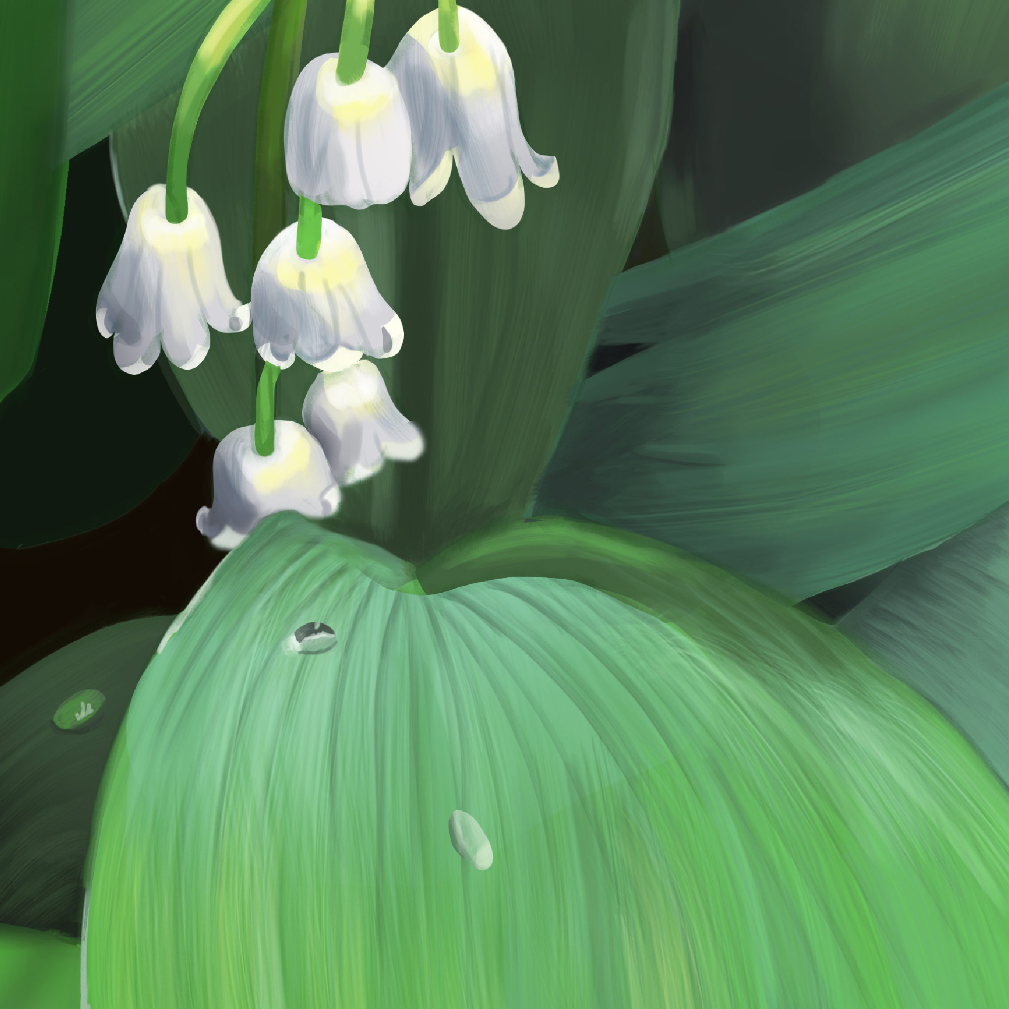 Lily of the Valley